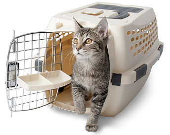 We like the airline-approved travel kennels from Petmate.